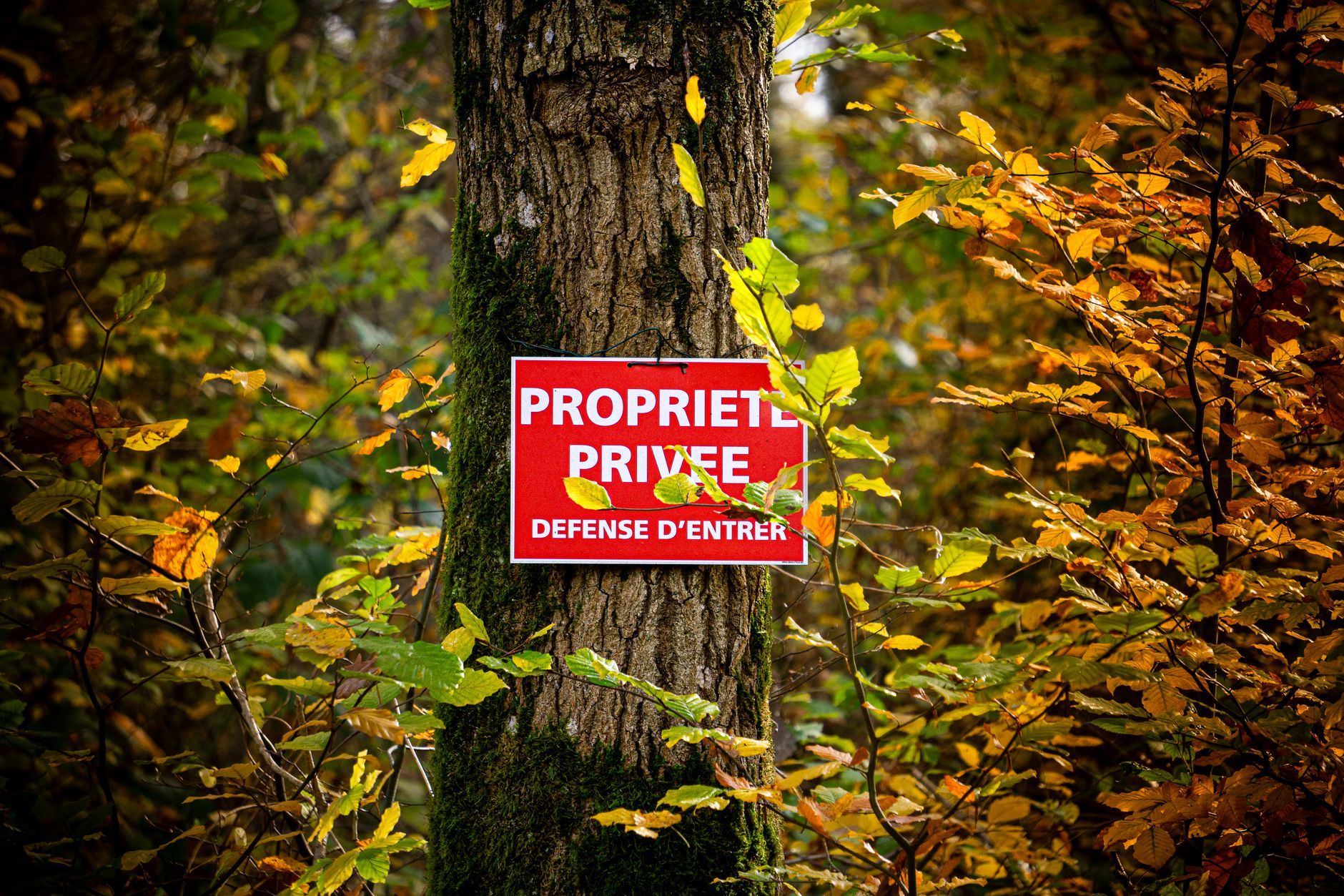 Détective privé à Annecy